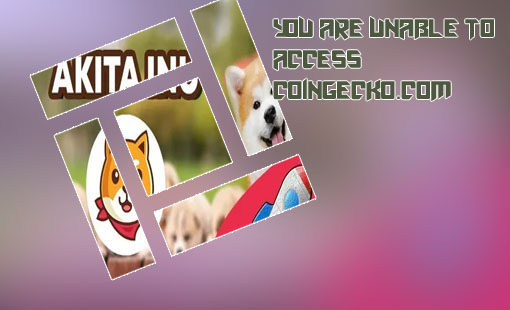 Akita coin crypto