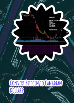 Bitcoin price cad