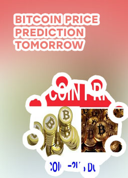 Bitcoin price dollars