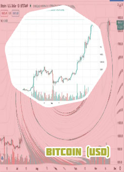 Bitcoin price usd live