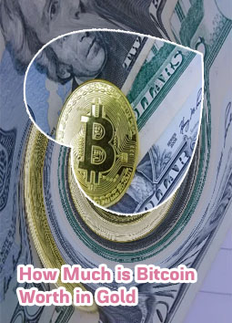 How much is one bitcoin in dollars