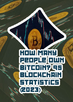 Largest bitcoin holders