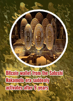Largest bitcoin wallets