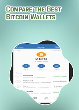 Wallet btc