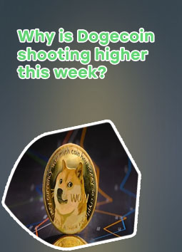 What is dogecoin at right now