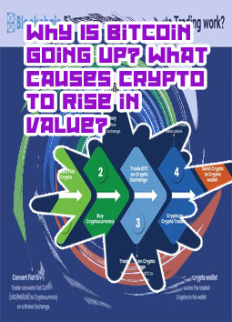 What makes crypto price go up